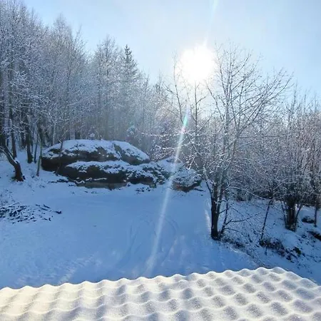 Tatil Evi Przystan Pod Witosza *