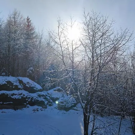 Przystan Pod Witosza *