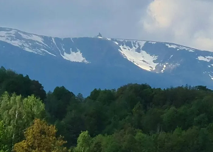 Holiday home Przystan Pod Witosza