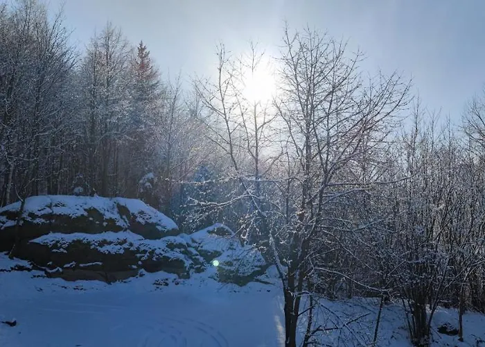 Przystan Pod Witosza *